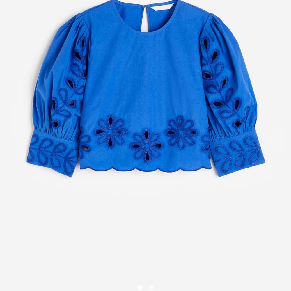 H&M Royal Blue Embroidered Puff-Sleeve Blouse